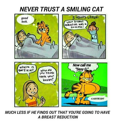 garfield tits|Garfield surviving a breast implant : r/KnowYourMeme .